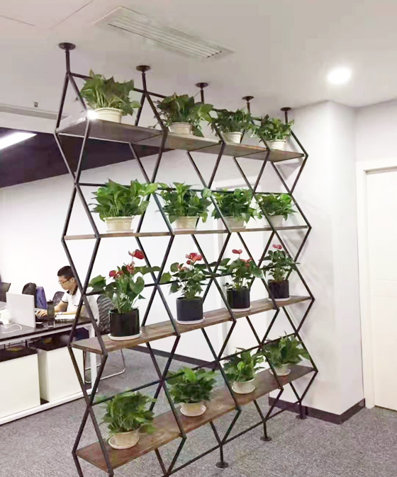 客戶綠植花架